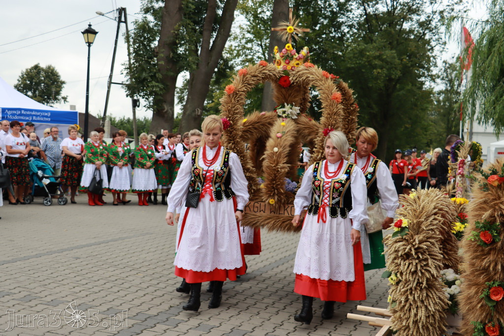 Święto Porzeczki oraz Święto Plonów w Irządzach