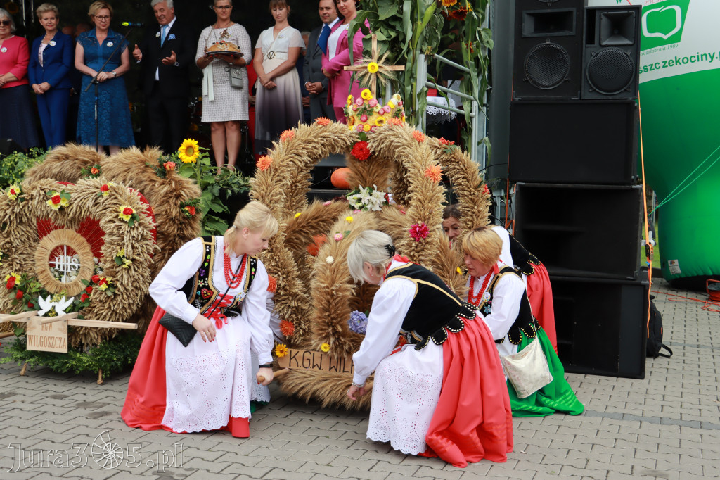 Święto Porzeczki oraz Święto Plonów w Irządzach