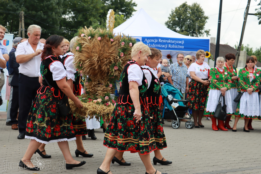 Święto Porzeczki oraz Święto Plonów w Irządzach