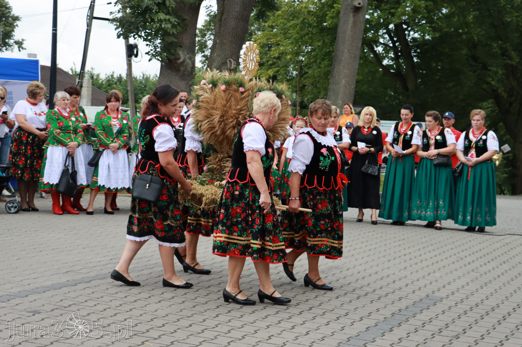 Święto Porzeczki oraz Święto Plonów w Irządzach