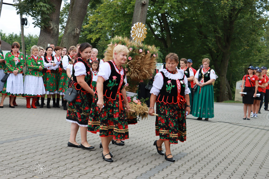 Święto Porzeczki oraz Święto Plonów w Irządzach