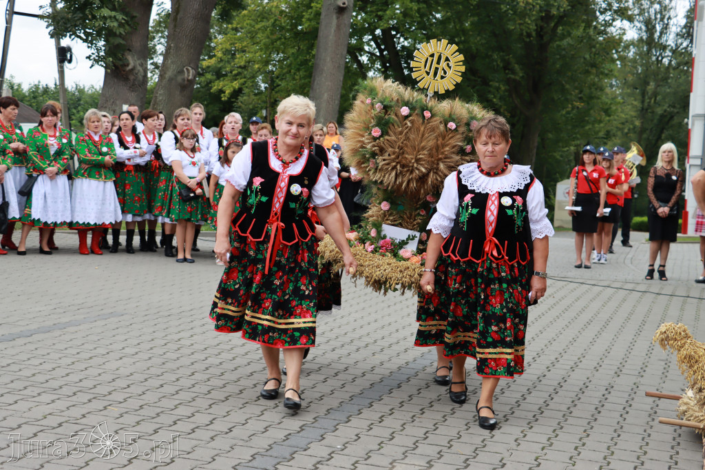 Święto Porzeczki oraz Święto Plonów w Irządzach