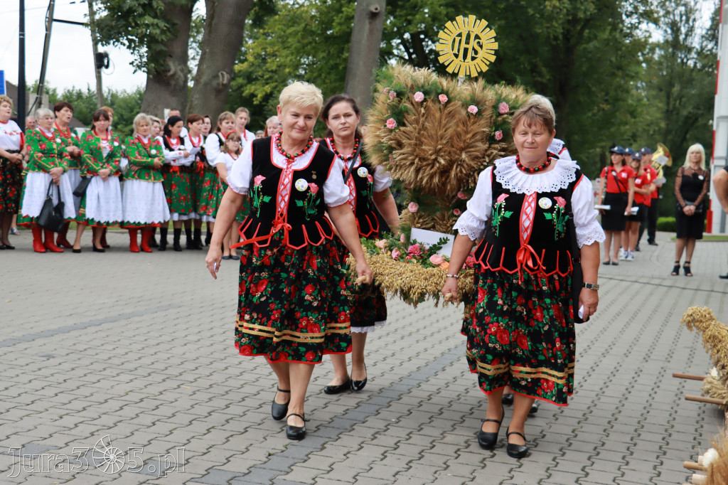 Święto Porzeczki oraz Święto Plonów w Irządzach