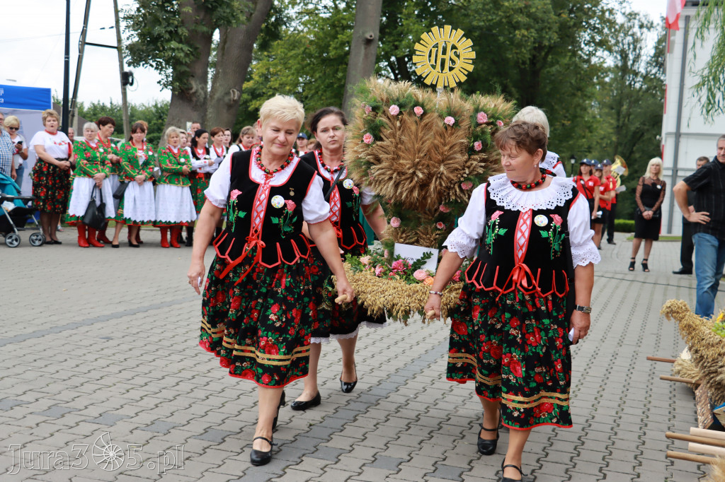 Święto Porzeczki oraz Święto Plonów w Irządzach