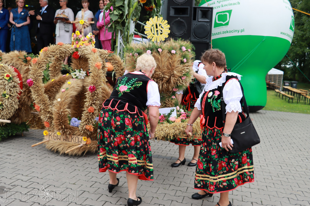 Święto Porzeczki oraz Święto Plonów w Irządzach