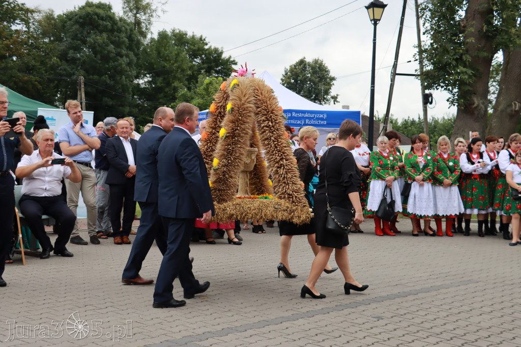 Święto Porzeczki oraz Święto Plonów w Irządzach