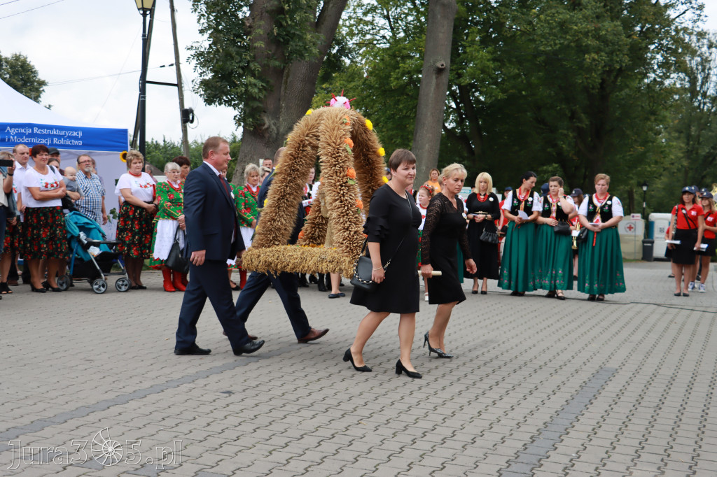 Święto Porzeczki oraz Święto Plonów w Irządzach