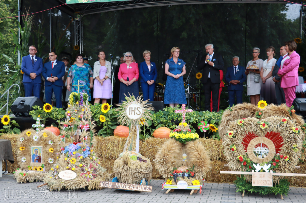 Święto Porzeczki oraz Święto Plonów w Irządzach