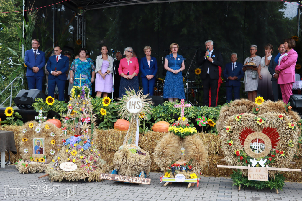 Święto Porzeczki oraz Święto Plonów w Irządzach
