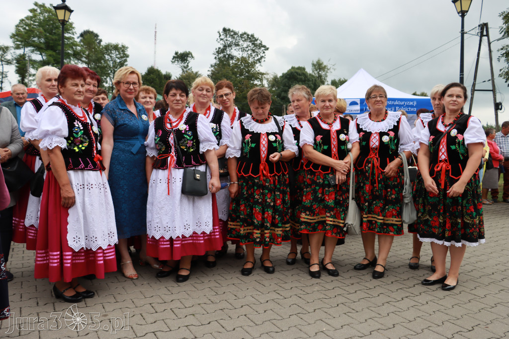 Święto Porzeczki oraz Święto Plonów w Irządzach