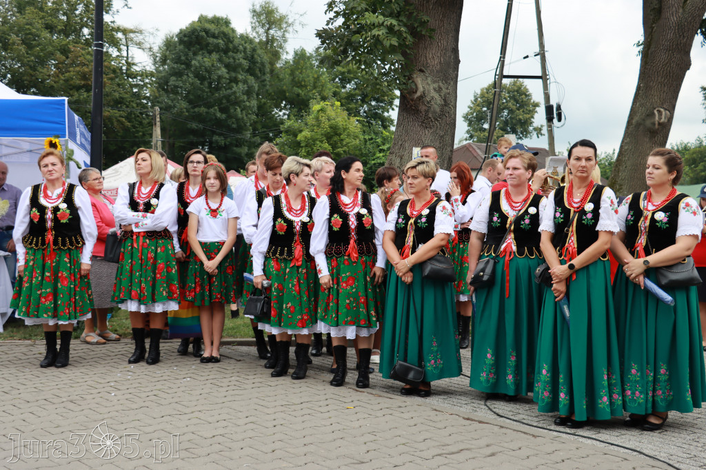 Święto Porzeczki oraz Święto Plonów w Irządzach