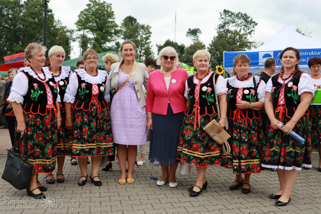 Święto Porzeczki oraz Święto Plonów w Irządzach