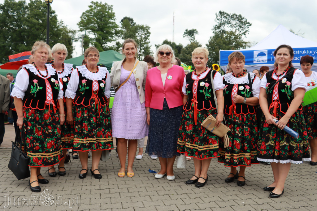Święto Porzeczki oraz Święto Plonów w Irządzach