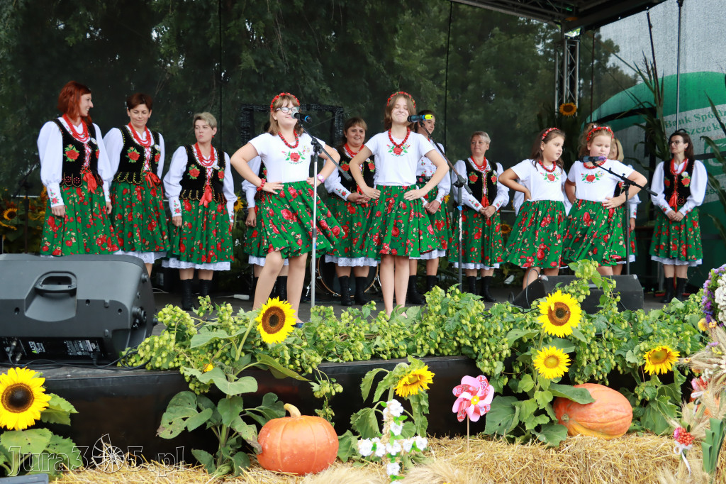 Święto Porzeczki oraz Święto Plonów w Irządzach