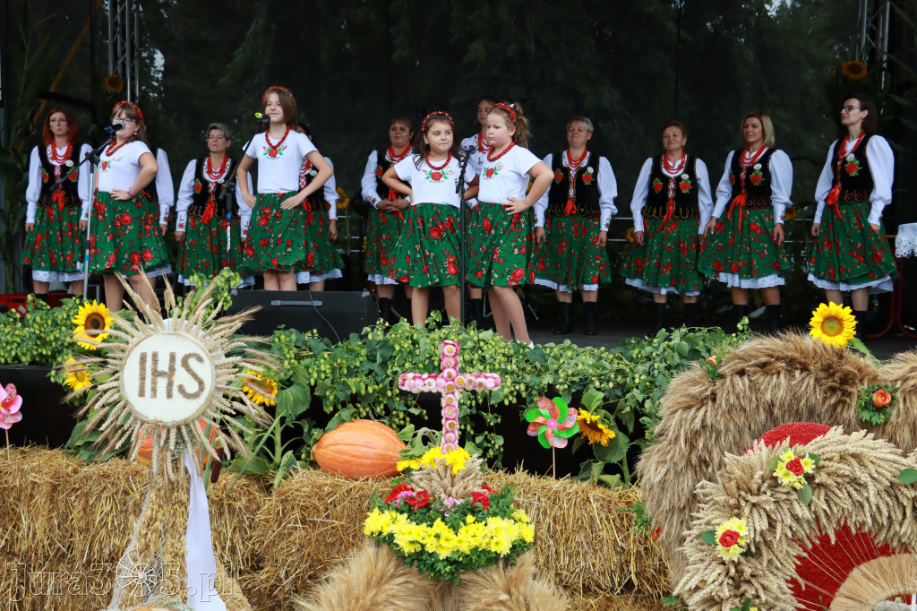 Święto Porzeczki oraz Święto Plonów w Irządzach