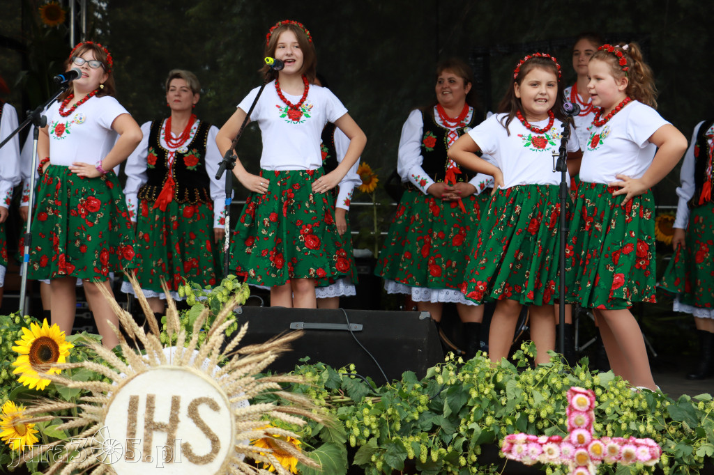 Święto Porzeczki oraz Święto Plonów w Irządzach