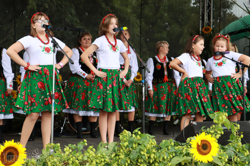 Święto Porzeczki oraz Święto Plonów w Irządzach