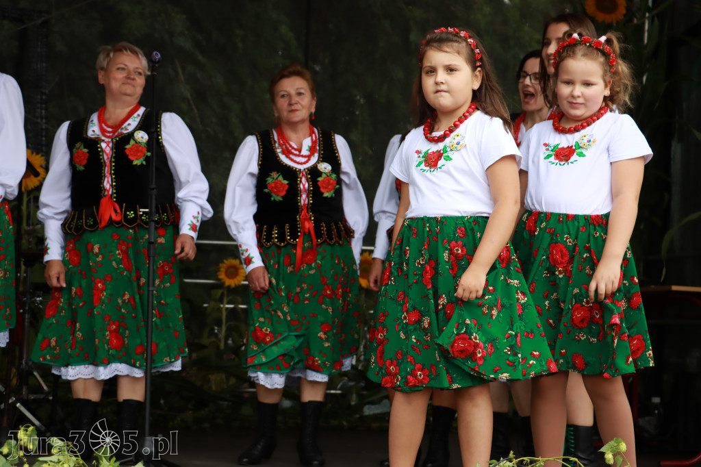 Święto Porzeczki oraz Święto Plonów w Irządzach