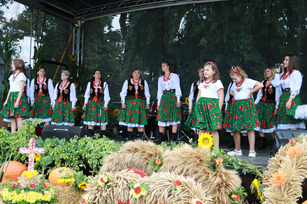 Święto Porzeczki oraz Święto Plonów w Irządzach