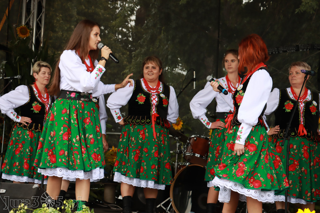 Święto Porzeczki oraz Święto Plonów w Irządzach