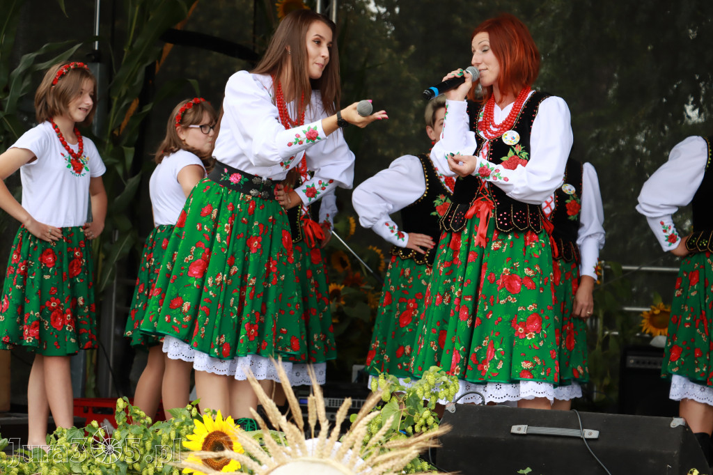 Święto Porzeczki oraz Święto Plonów w Irządzach