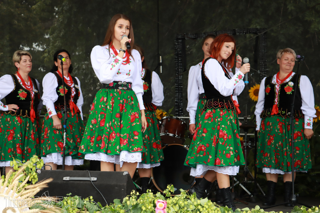 Święto Porzeczki oraz Święto Plonów w Irządzach