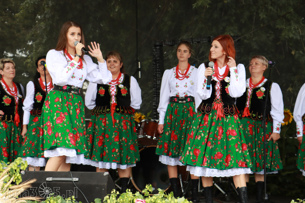 Święto Porzeczki oraz Święto Plonów w Irządzach