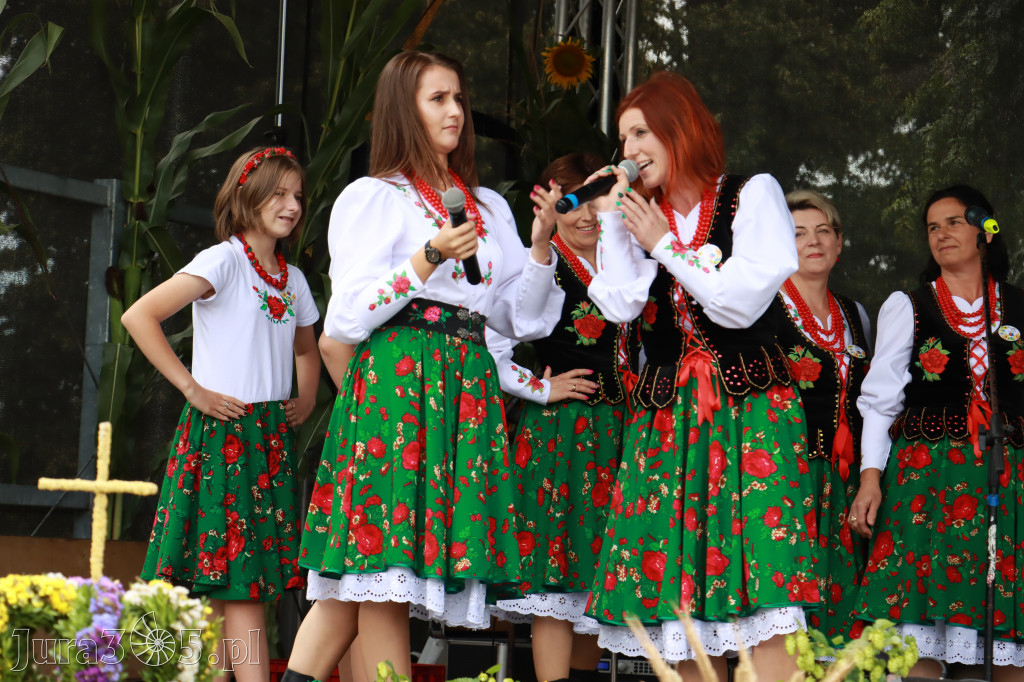 Święto Porzeczki oraz Święto Plonów w Irządzach