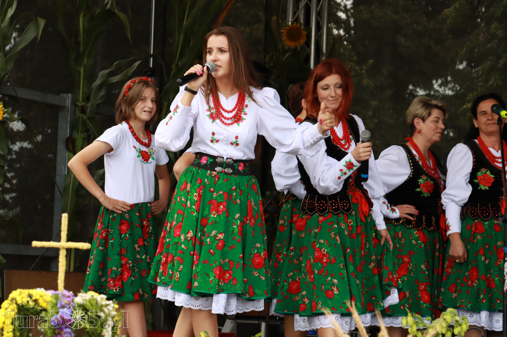 Święto Porzeczki oraz Święto Plonów w Irządzach