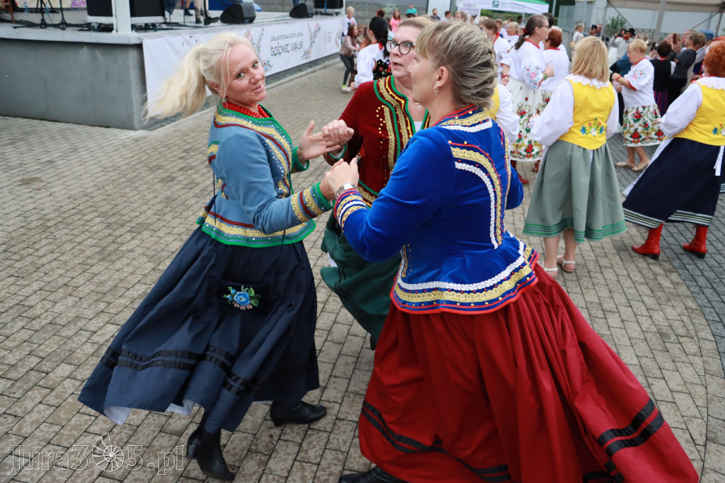 Koncert Zespołu KAPITAN FOLK Koziegłowy 2022r.