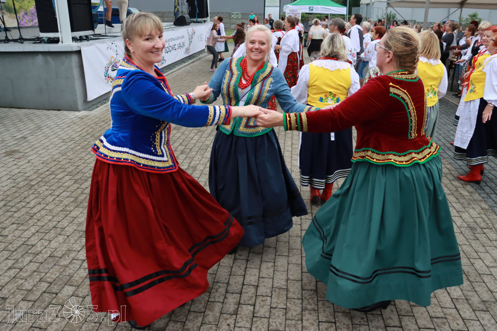 Koncert Zespołu KAPITAN FOLK Koziegłowy 2022r.