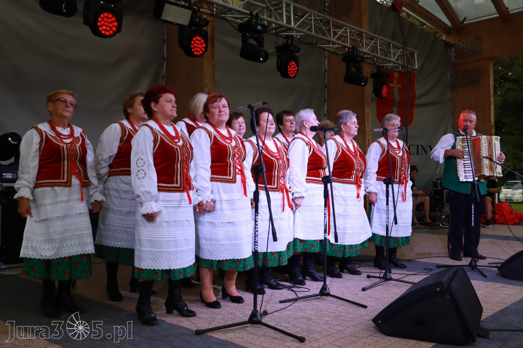 Szczekociny - Bitwa Regionów