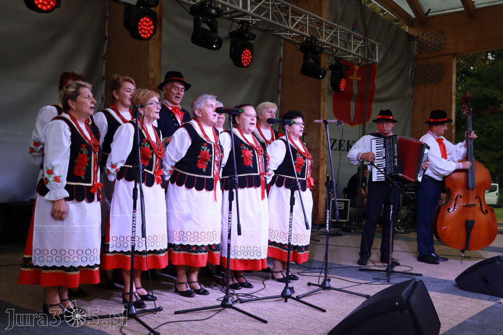 Szczekociny - Bitwa Regionów