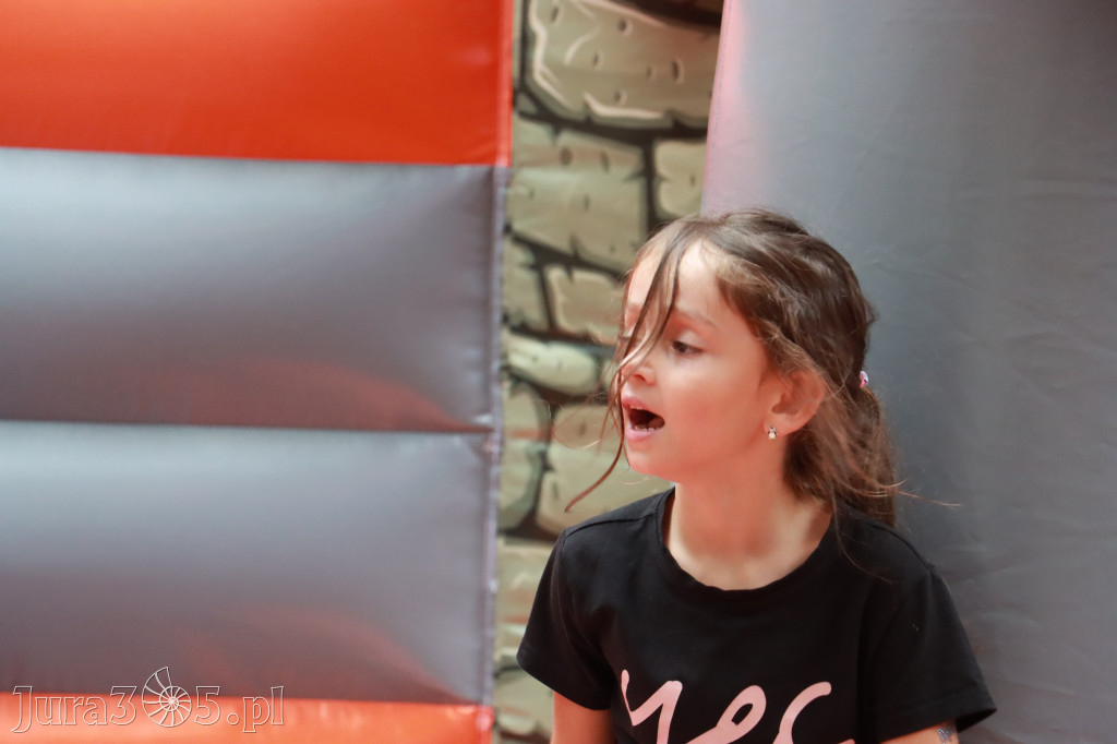 Zawierciański Festiwal Dobroczynności Park Miejski