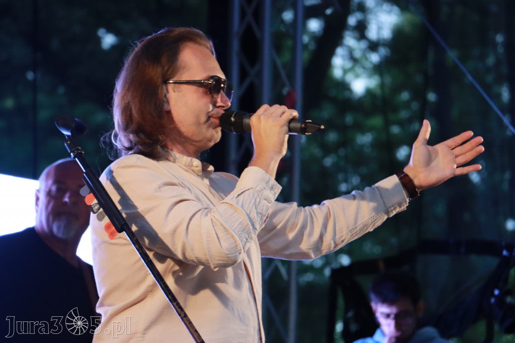 Zawierciański Festiwal Dobroczynności Park Miejski