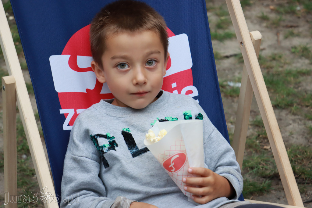 Zawierciański Festiwal Dobroczynności Park Miejski