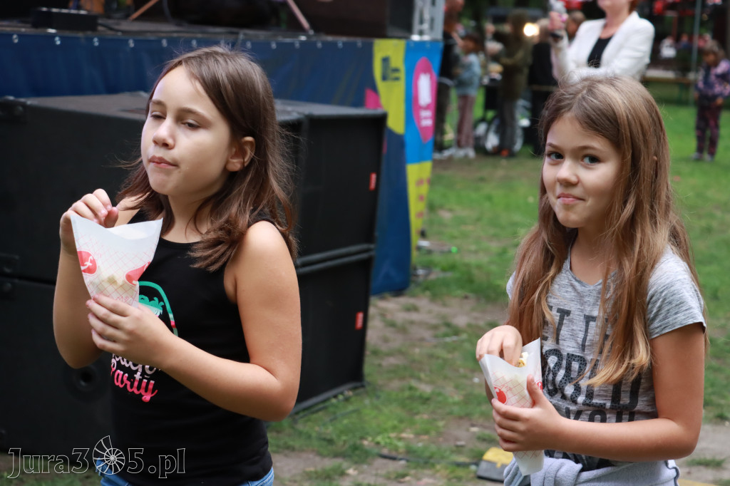Zawierciański Festiwal Dobroczynności Park Miejski