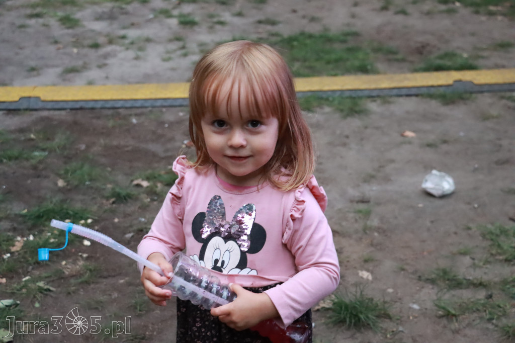 Zawierciański Festiwal Dobroczynności Park Miejski