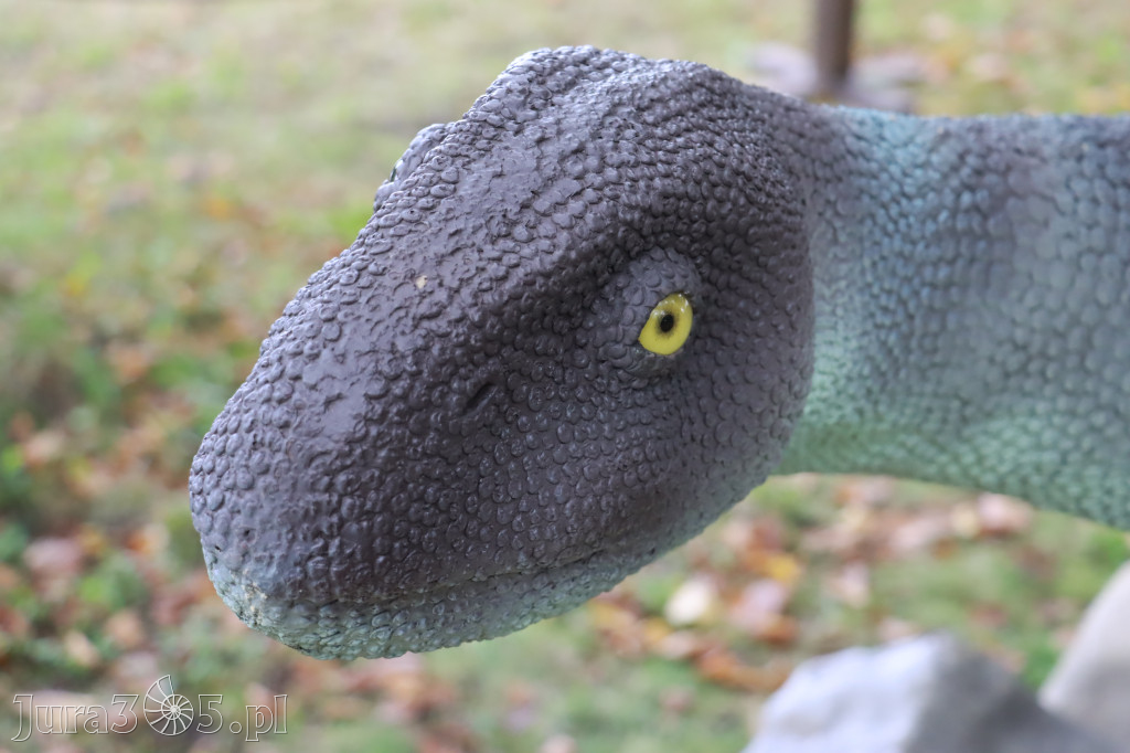 Park Jurajski w Zawierciu - Wystawa Dinozaurów
