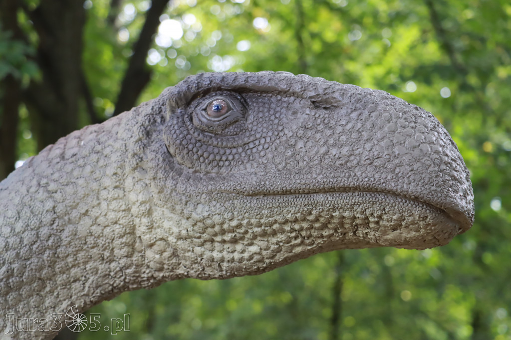 Park Jurajski w Zawierciu - Wystawa Dinozaurów