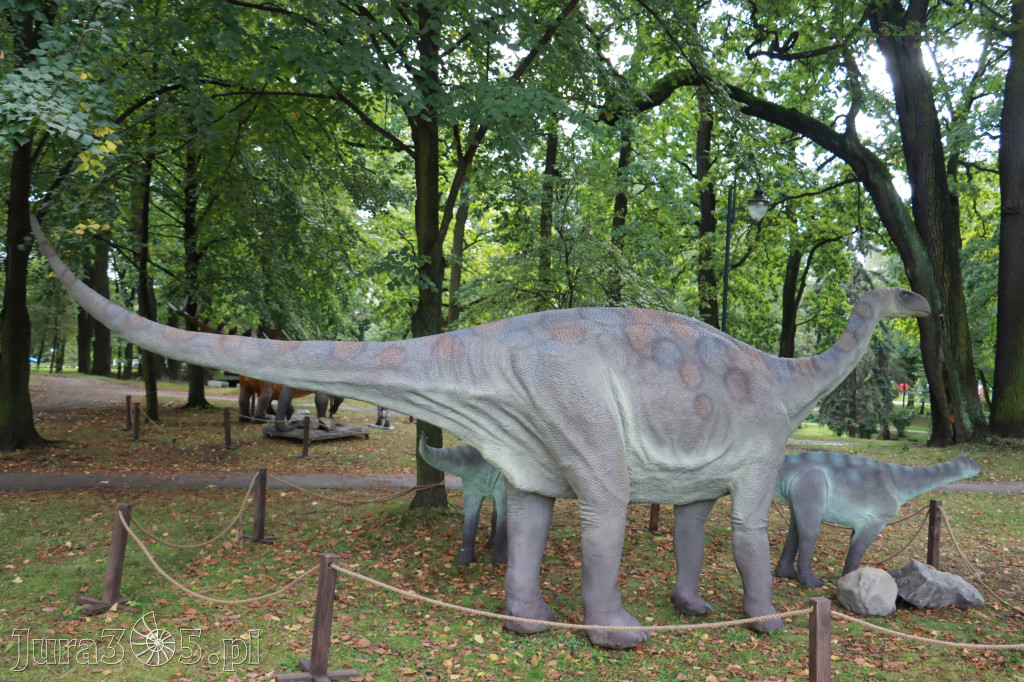 Park Jurajski w Zawierciu - Wystawa Dinozaurów