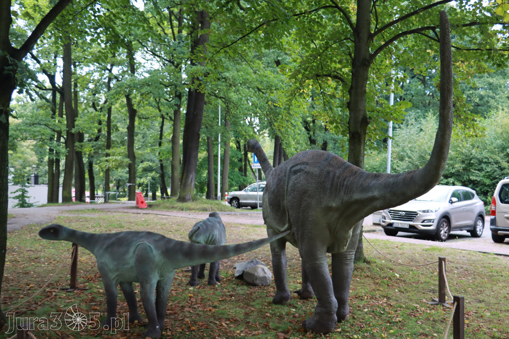Park Jurajski w Zawierciu - Wystawa Dinozaurów