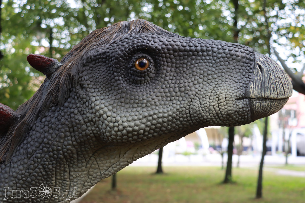 Park Jurajski w Zawierciu - Wystawa Dinozaurów
