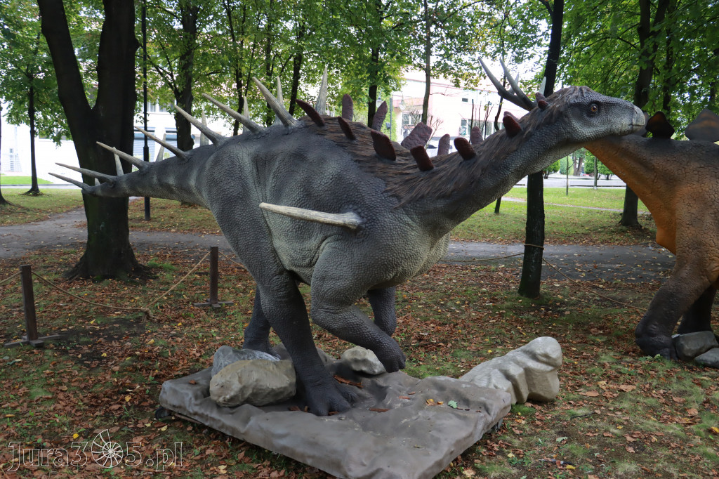 Park Jurajski w Zawierciu - Wystawa Dinozaurów