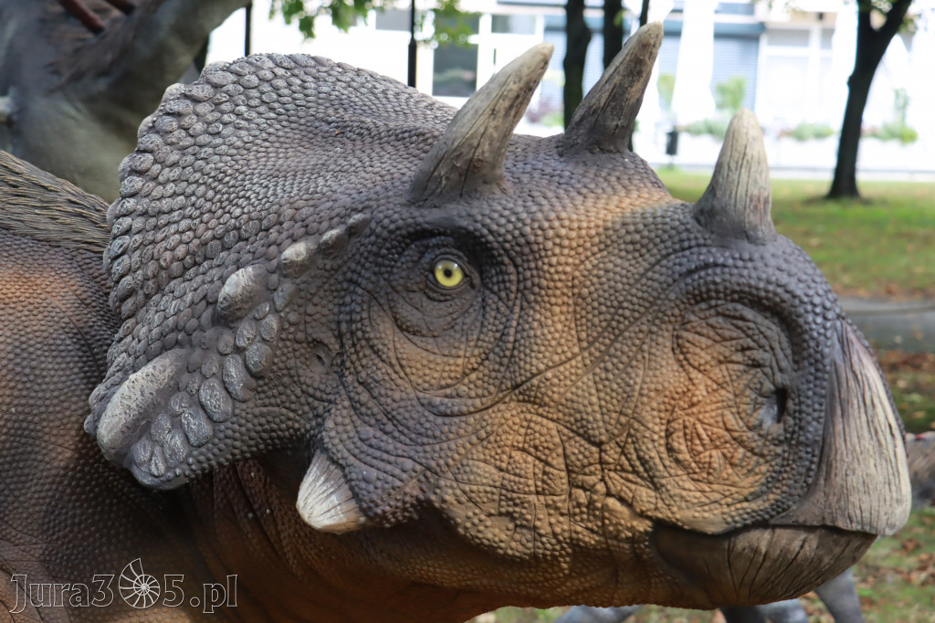 Park Jurajski w Zawierciu - Wystawa Dinozaurów
