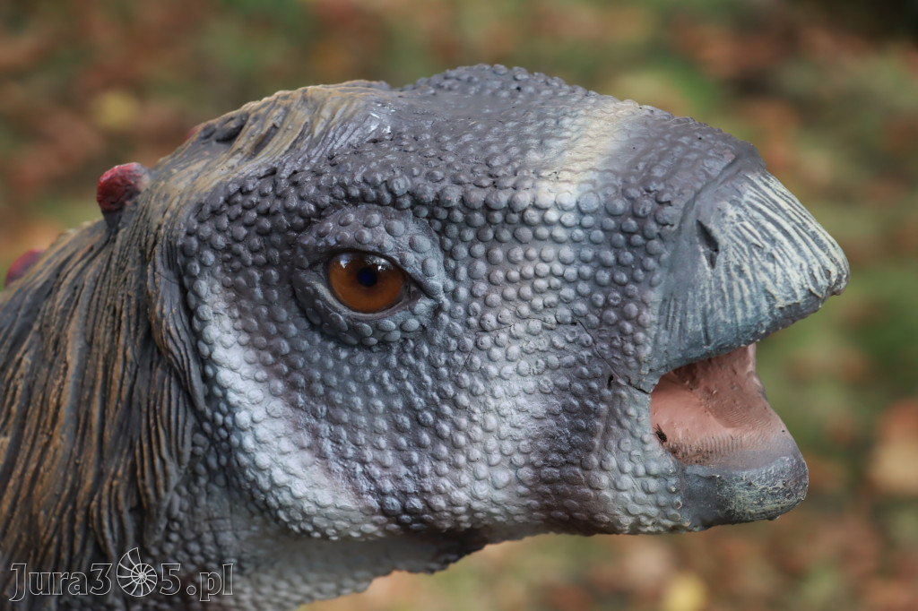 Park Jurajski w Zawierciu - Wystawa Dinozaurów