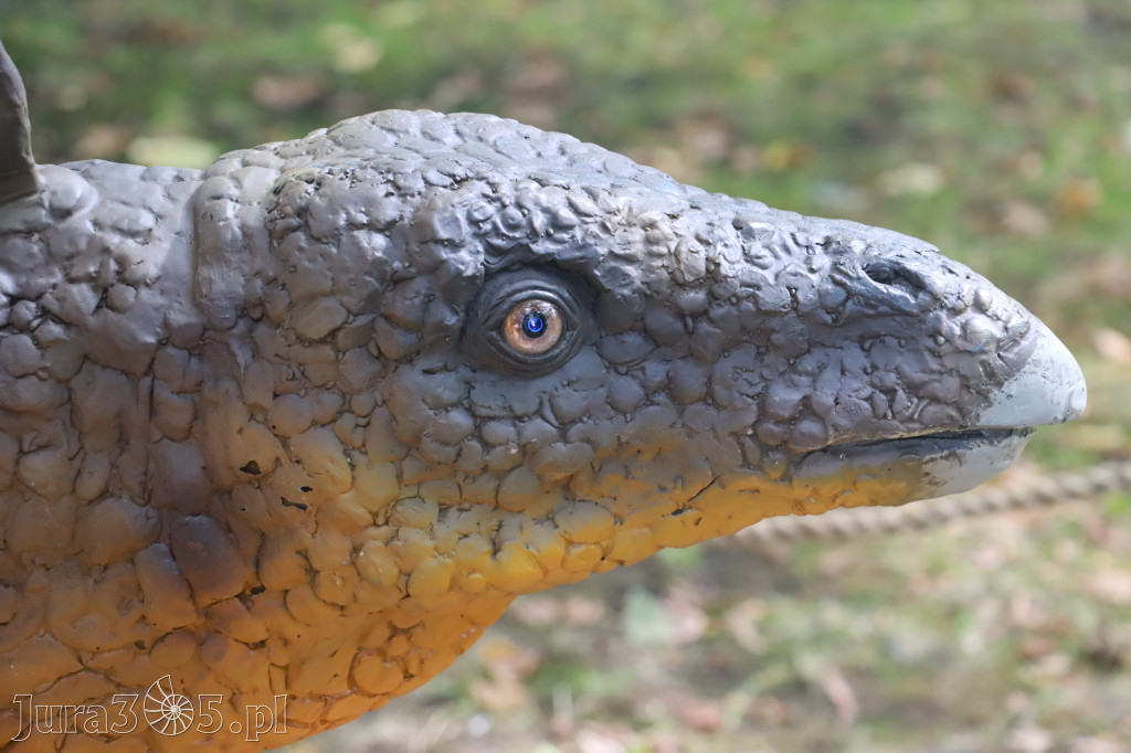 Park Jurajski w Zawierciu - Wystawa Dinozaurów