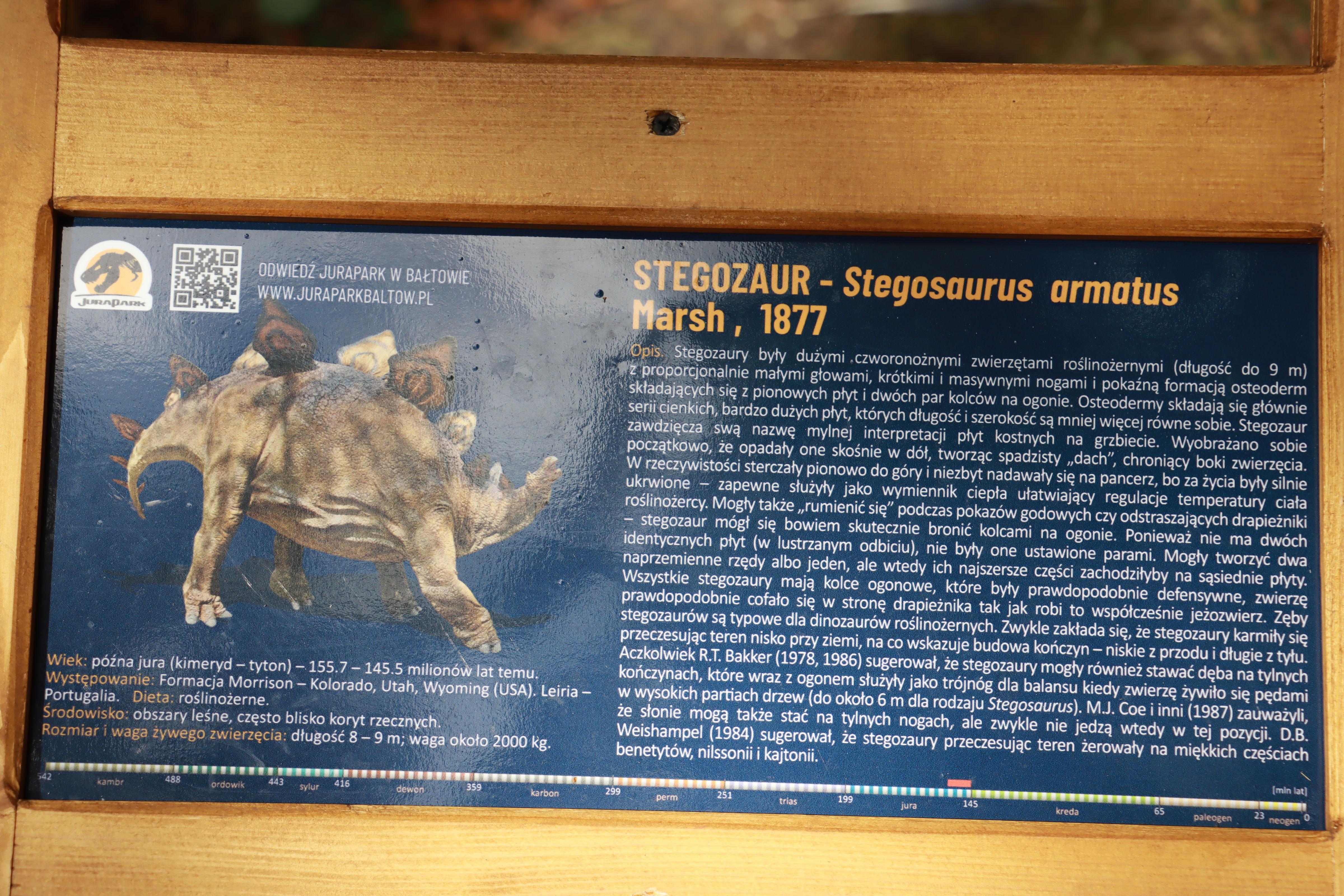 Park Jurajski w Zawierciu - Wystawa Dinozaurów