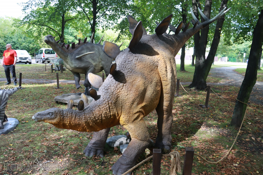 Park Jurajski w Zawierciu - Wystawa Dinozaurów