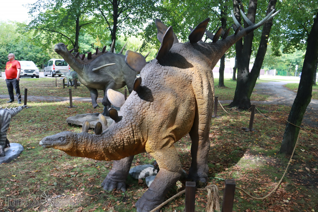 Park Jurajski w Zawierciu - Wystawa Dinozaurów